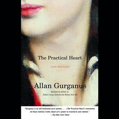 The Practical Heart: Four Novellas Audibook, by Allan Gurganus