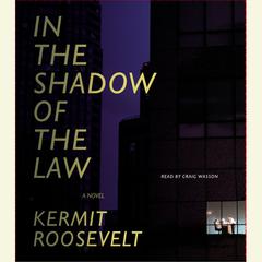 In the Shadow of the Law Audiobook, by Kermit Roosevelt