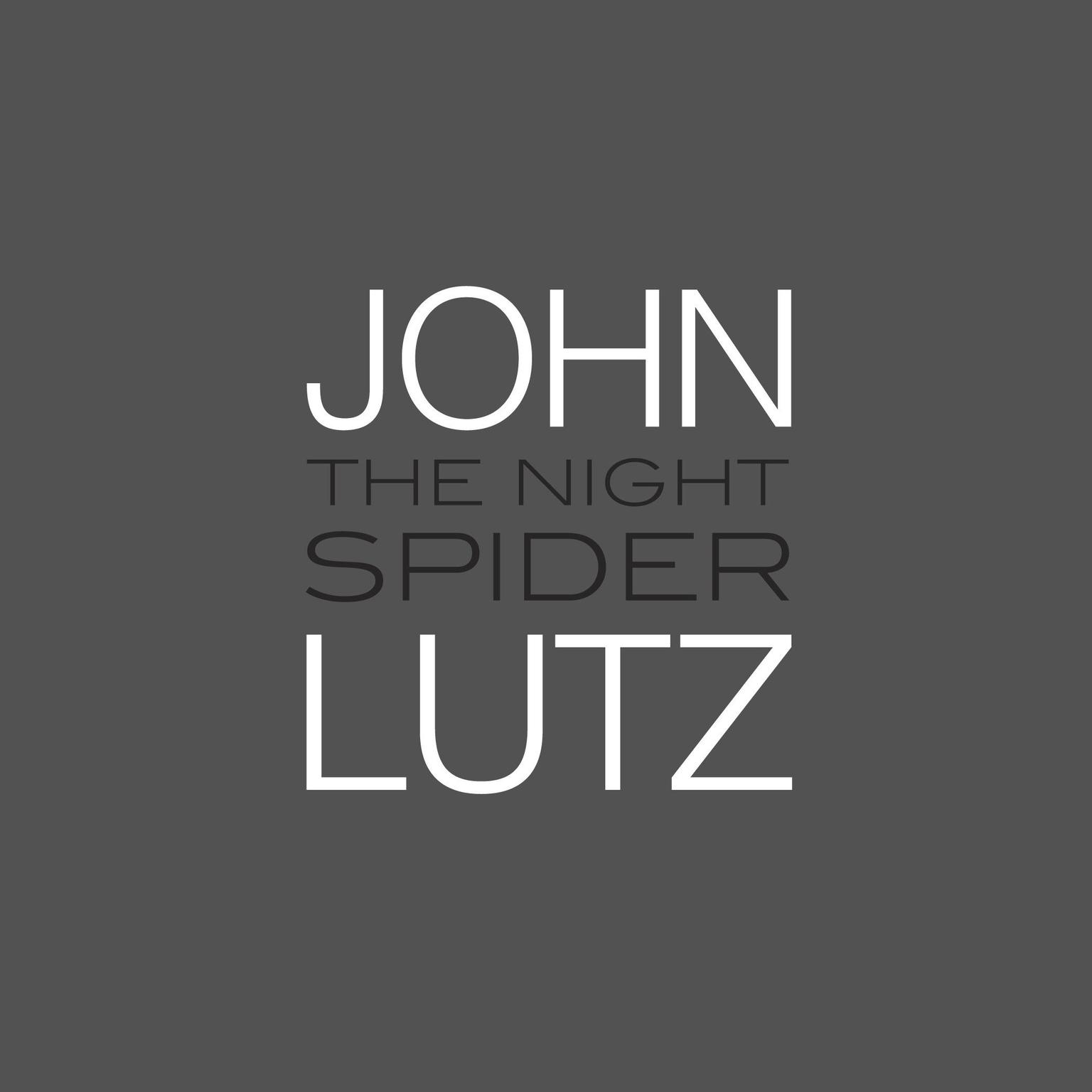 The Night Spider Audiobook, by John Lutz