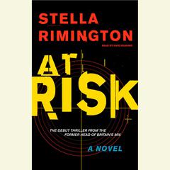 At Risk Audiobook, by Stella Rimington