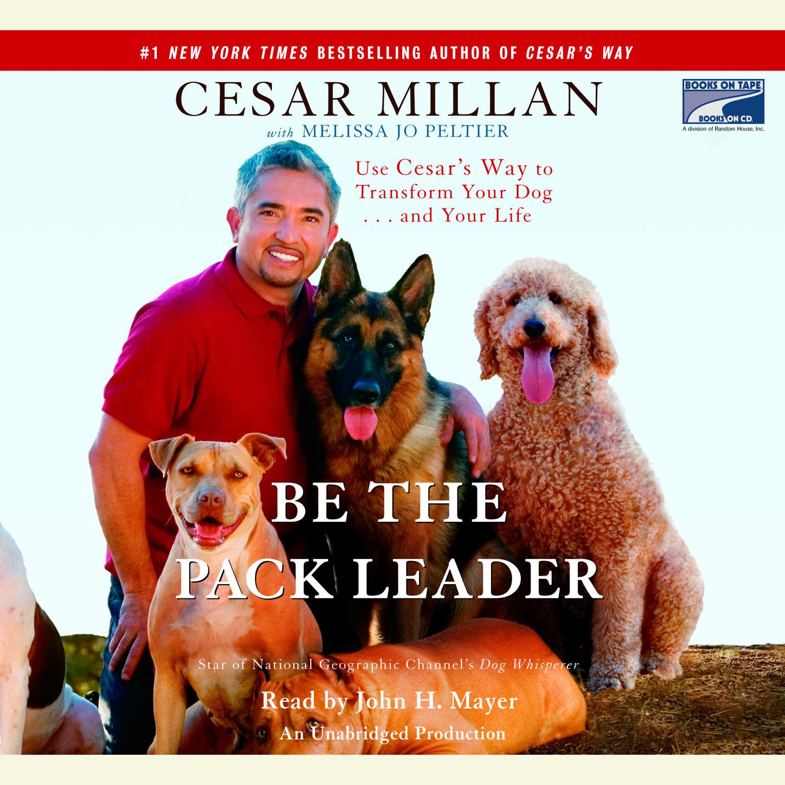 Be the Pack Leader: Use Cesars Way to Transform Your Dog...And Your Life Audiobook, by Cesar Millan