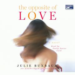 The Opposite of Love Audiobook, by 