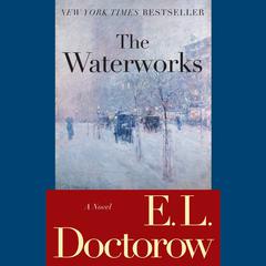 The Waterworks: A Novel Audiobook, by 
