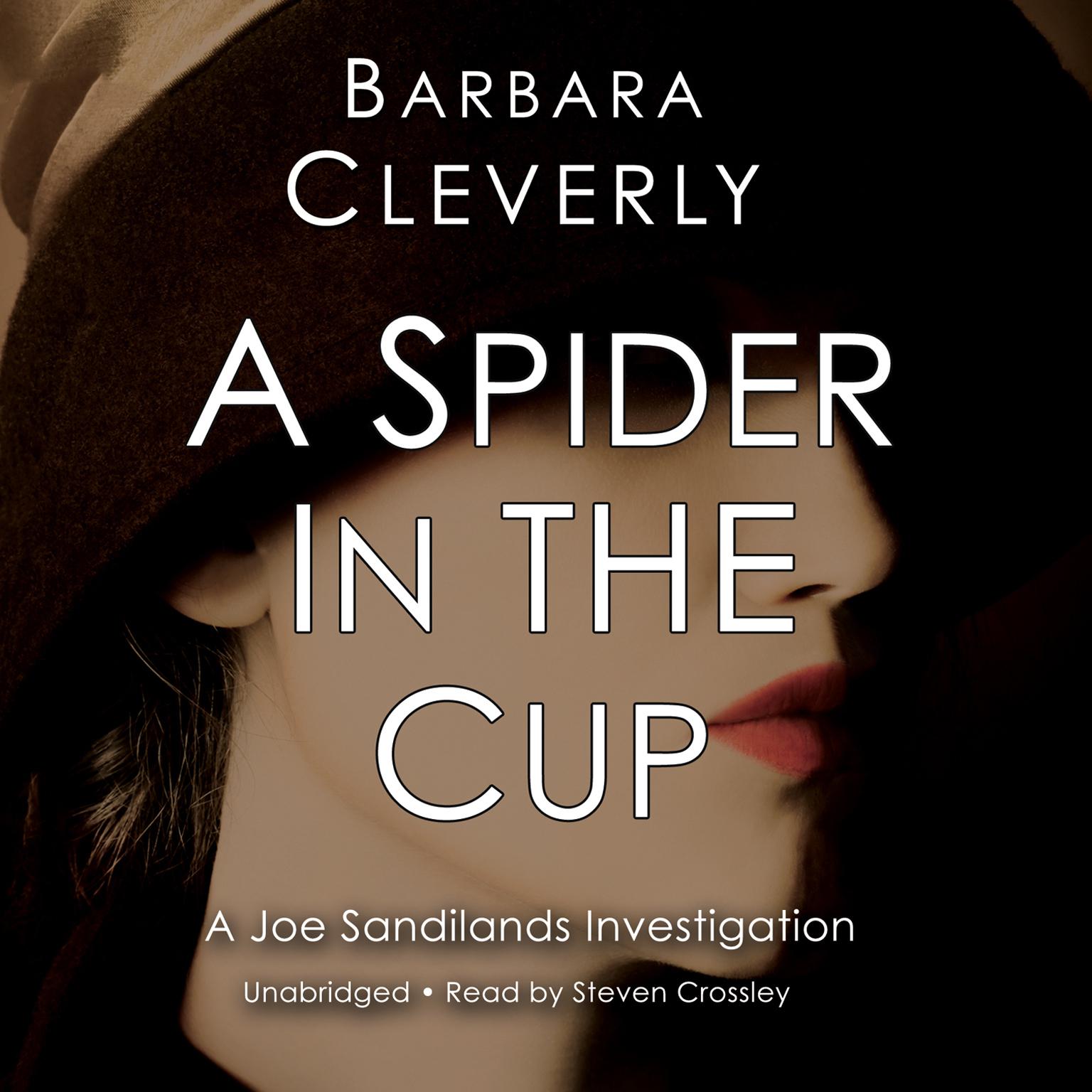 A Spider in the Cup Audiobook, by Barbara Cleverly