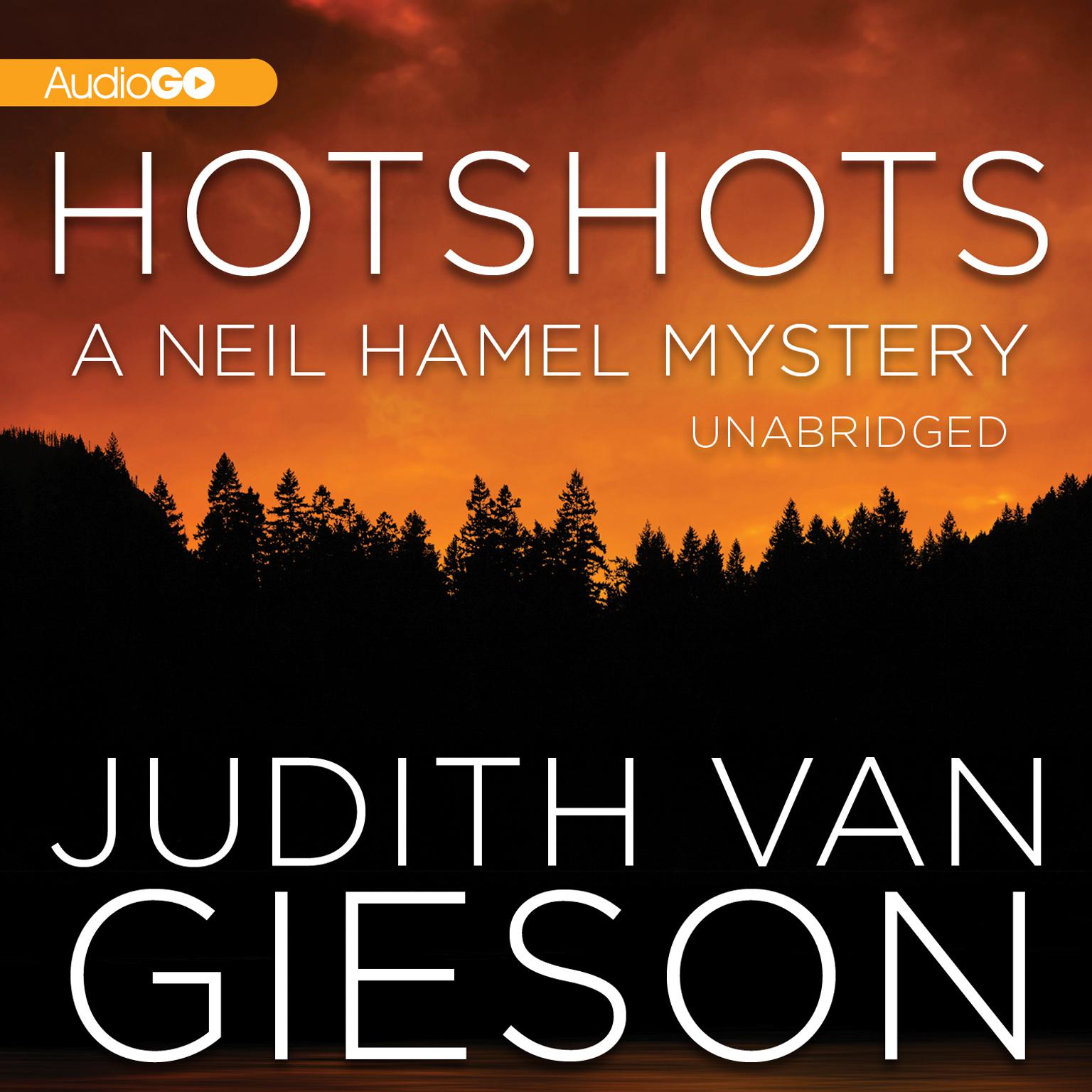 Hotshots Audiobook, by Judith Van Gieson