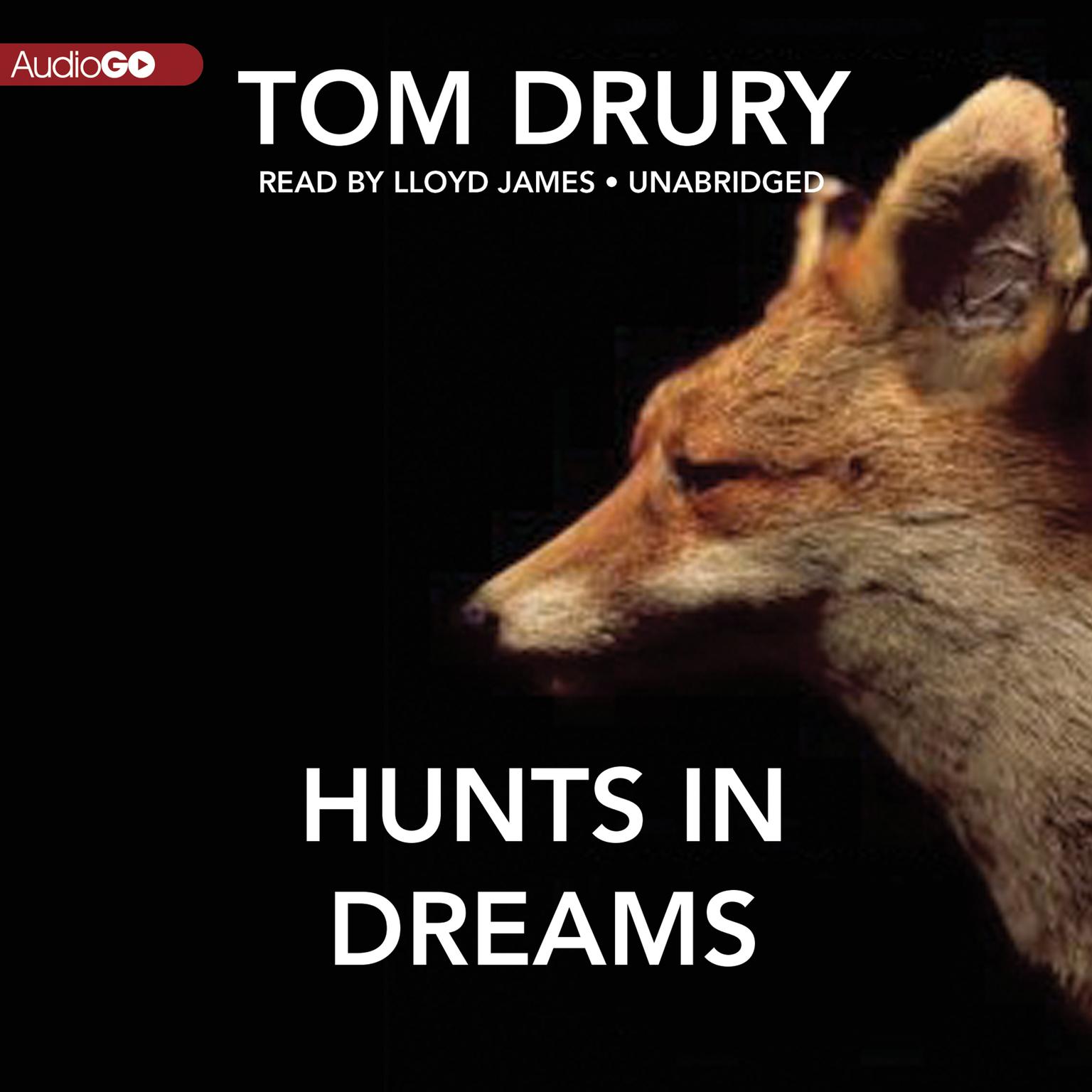 Hunts in Dreams Audiobook, by Tom Drury