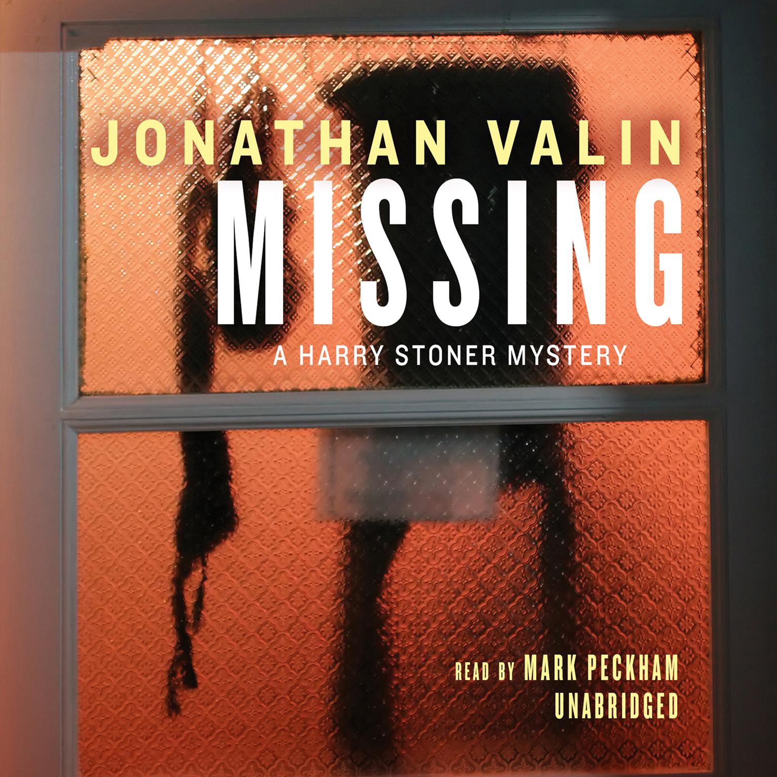Missing Audiobook, by Jonathan Valin