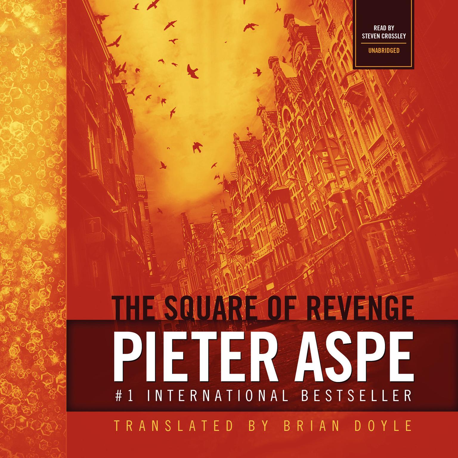 The Square of Revenge Audiobook, by Pieter Aspe
