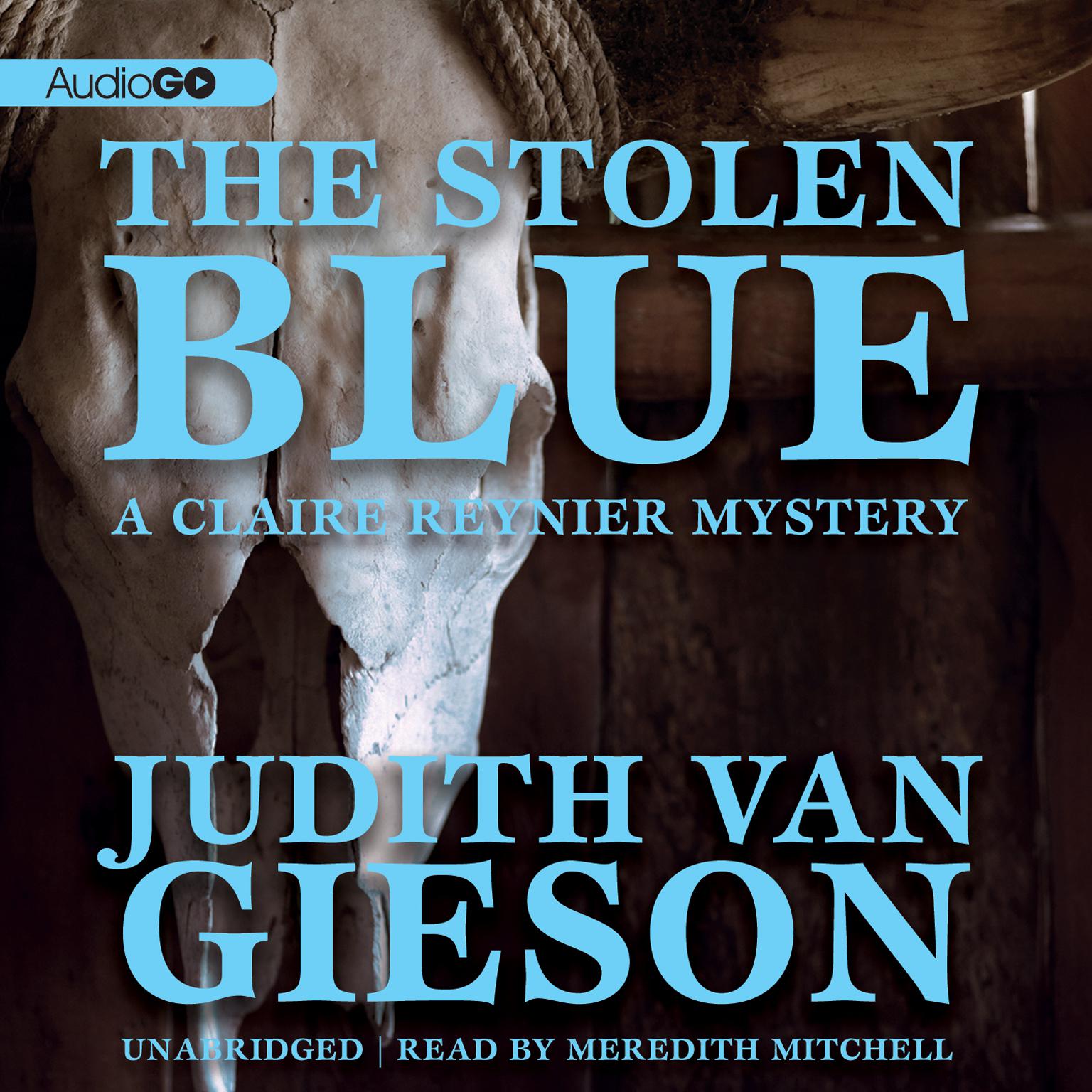 The Stolen Blue Audiobook, by Judith Van Gieson
