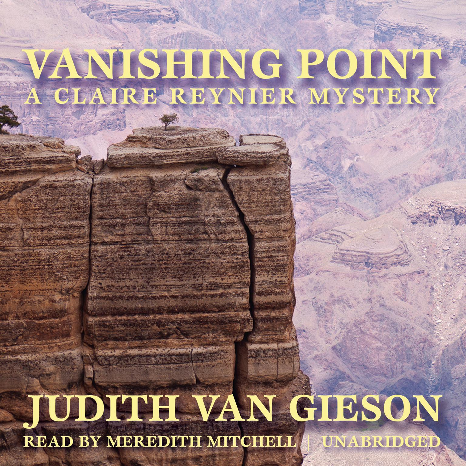 Vanishing Point Audiobook, by Judith Van Gieson
