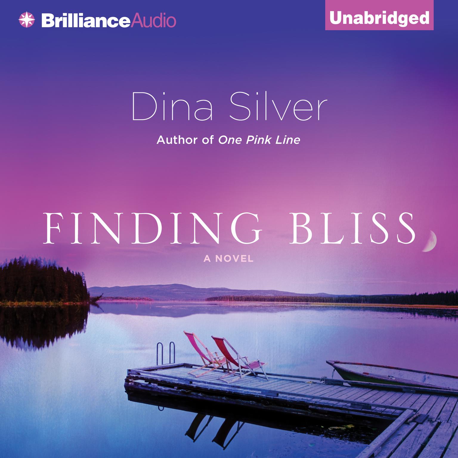 Finding Bliss Audiobook, by Dina Silver