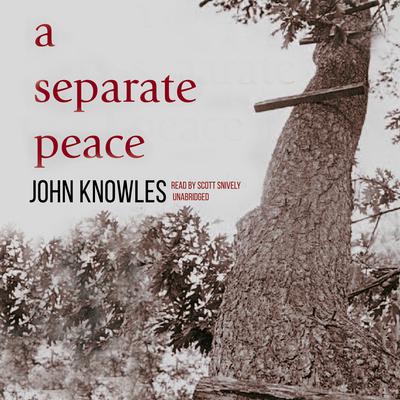 A Separate Peace Audiobook, by 