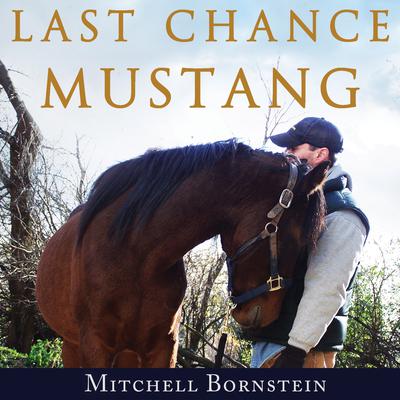 Last Chance Mustang: The Story of One Horse, One Horseman, and One Final Shot at Redemption Audiobook, by Mitchell Bornstein