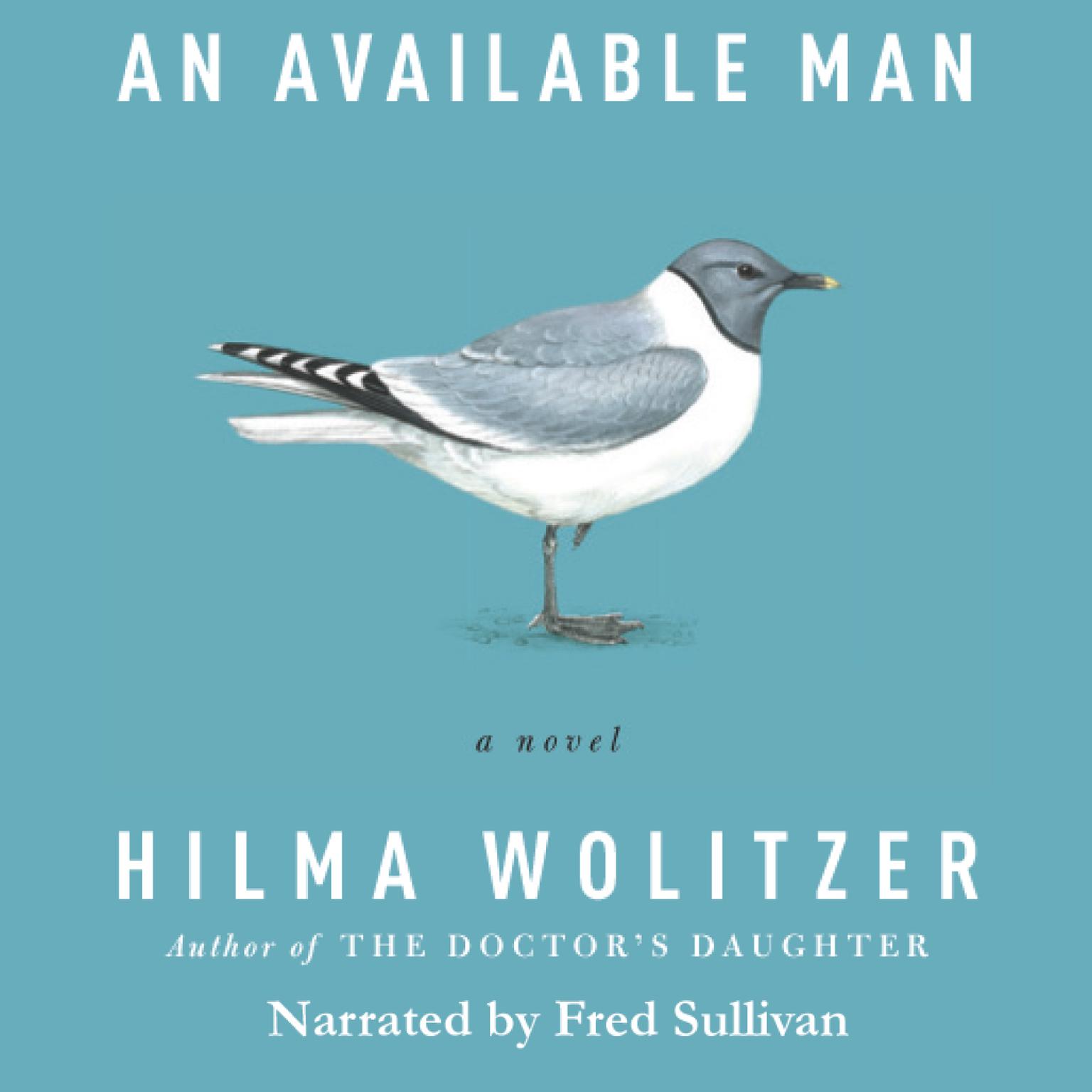 An Available Man: A Novel Audiobook, by Hilma Wolitzer