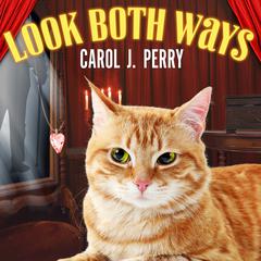Look Both Ways Audiobook, by Carol J. Perry