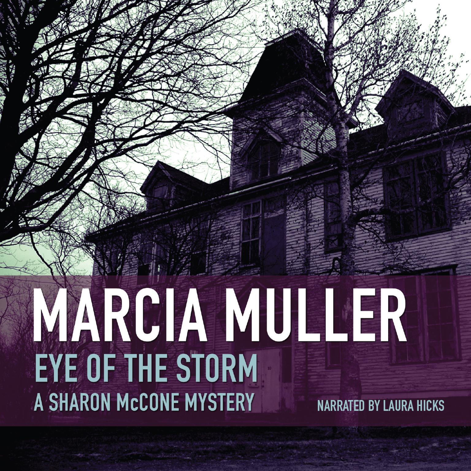 Eye of the Storm Audiobook, by Marcia Muller