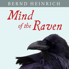 Mind of the Raven: Investigations and Adventures with Wolf-Birds Audiobook, by 