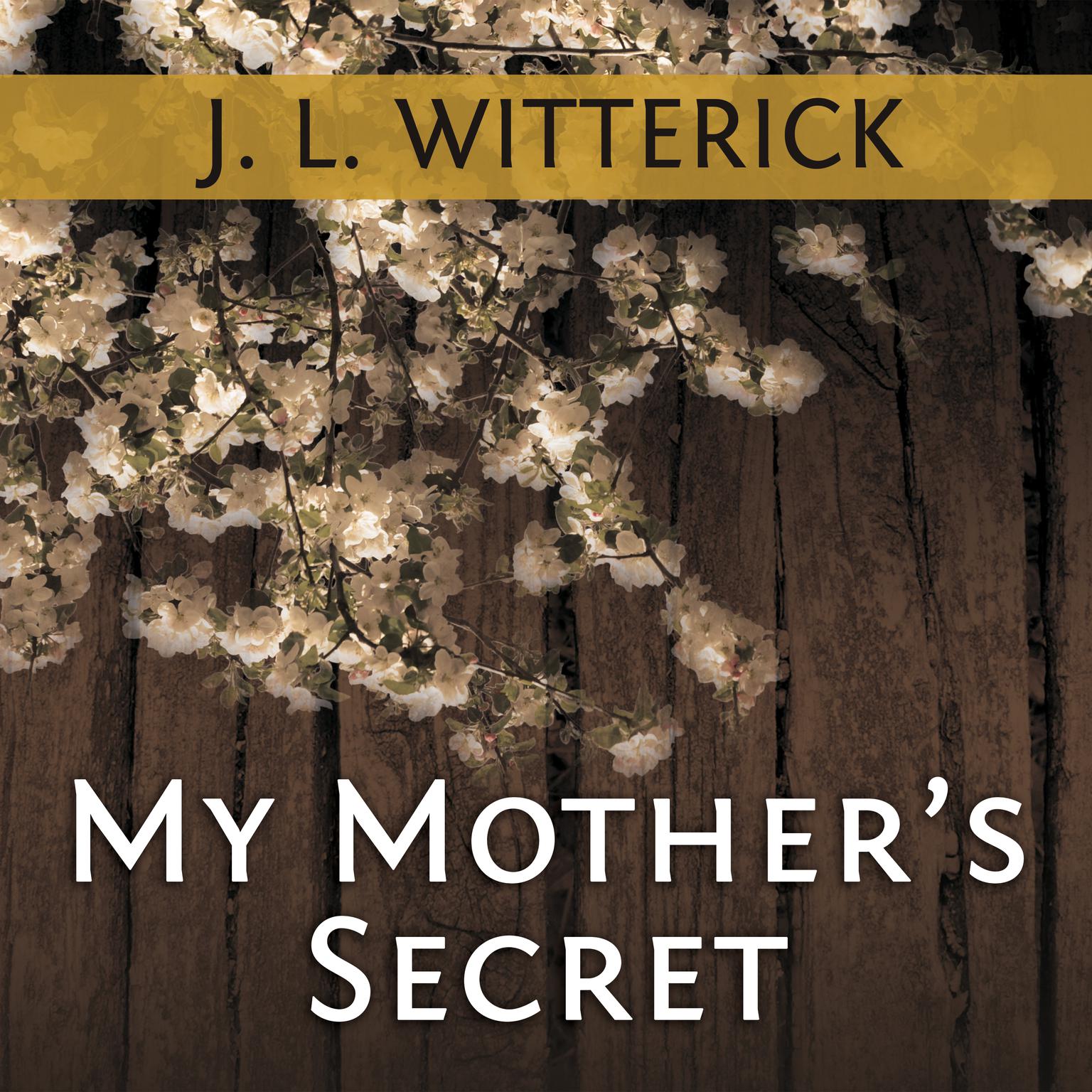 My Mothers Secret: Based on a True Holocaust Story Audiobook, by J. L. Witterick