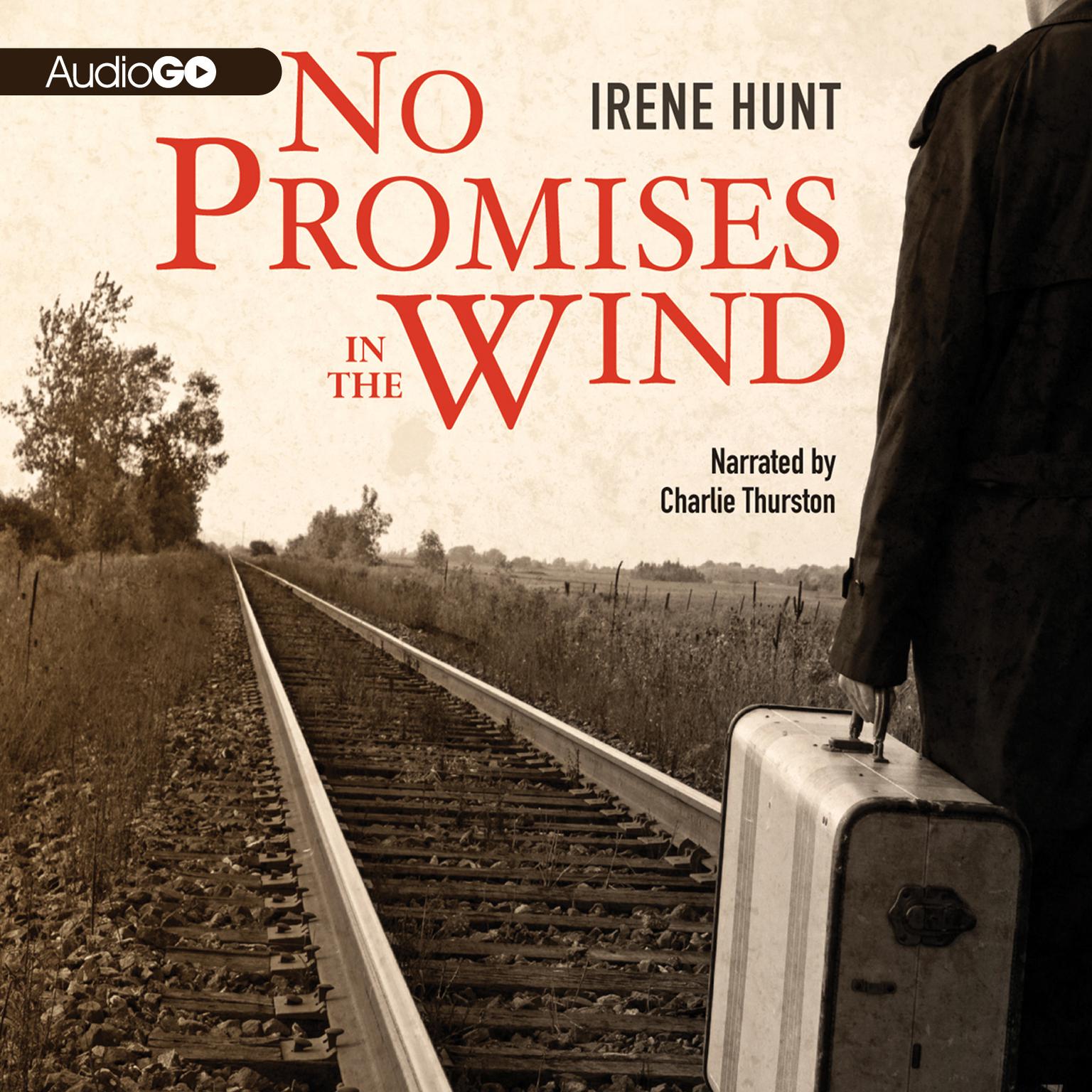 No Promises in the Wind Audiobook, by Irene Hunt