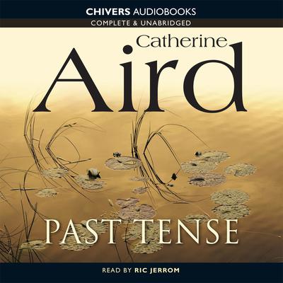 Past Tense Audiobook, by 