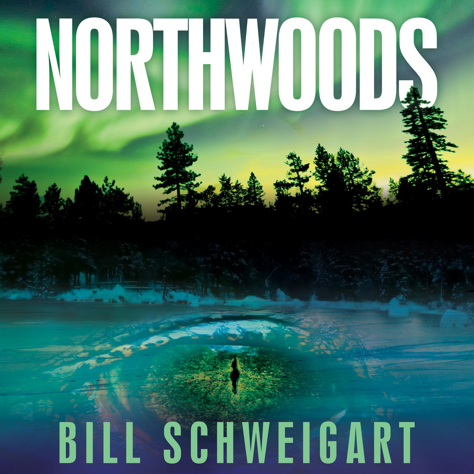 Northwoods Audiobook, by Bill Schweigart