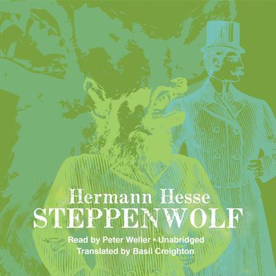 Steppenwolf Audiobook, by 