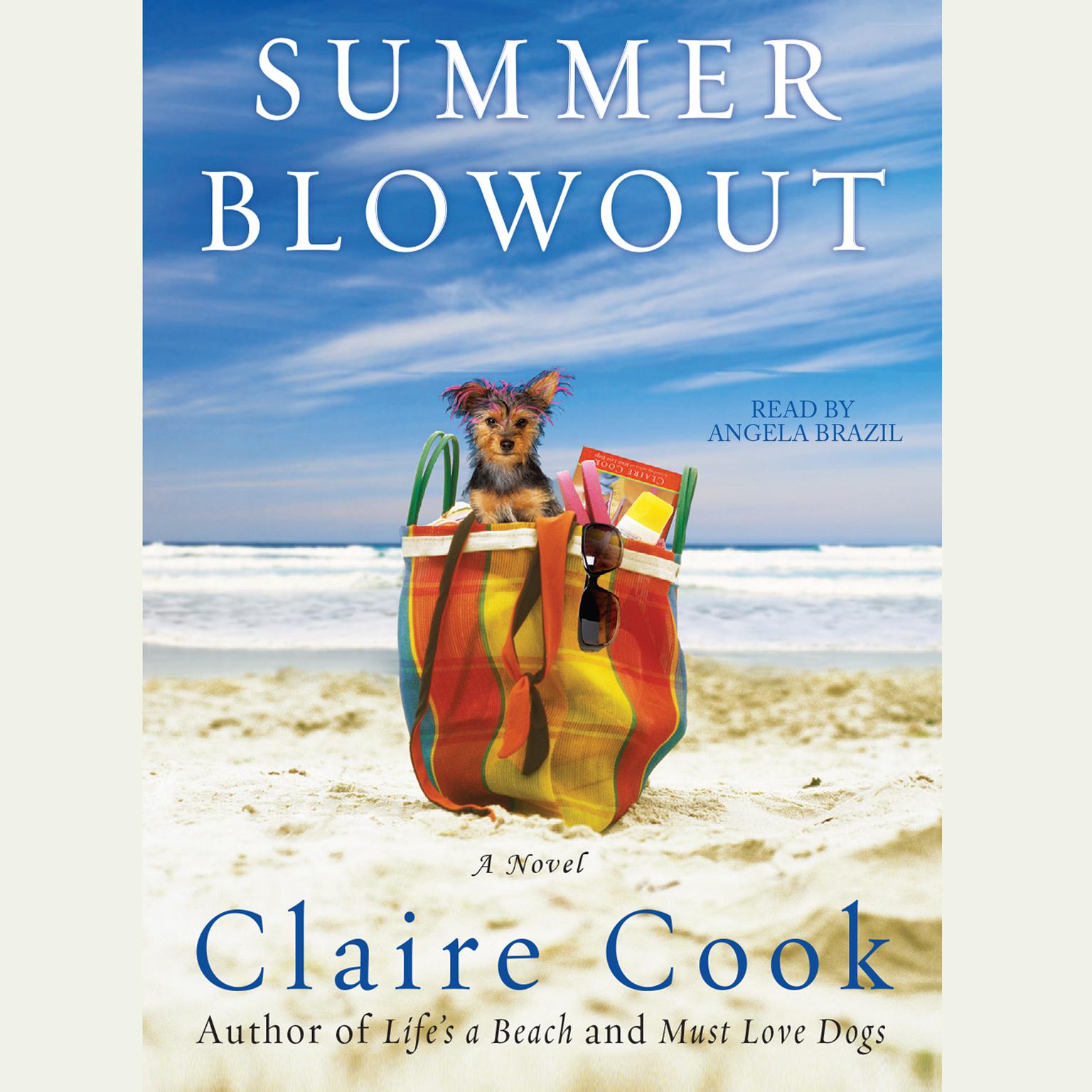 Summer Blowout Audiobook, by Claire Cook