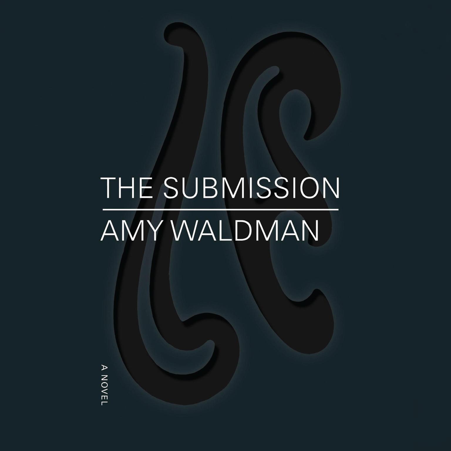 The Submission Audiobook, by Amy Waldman