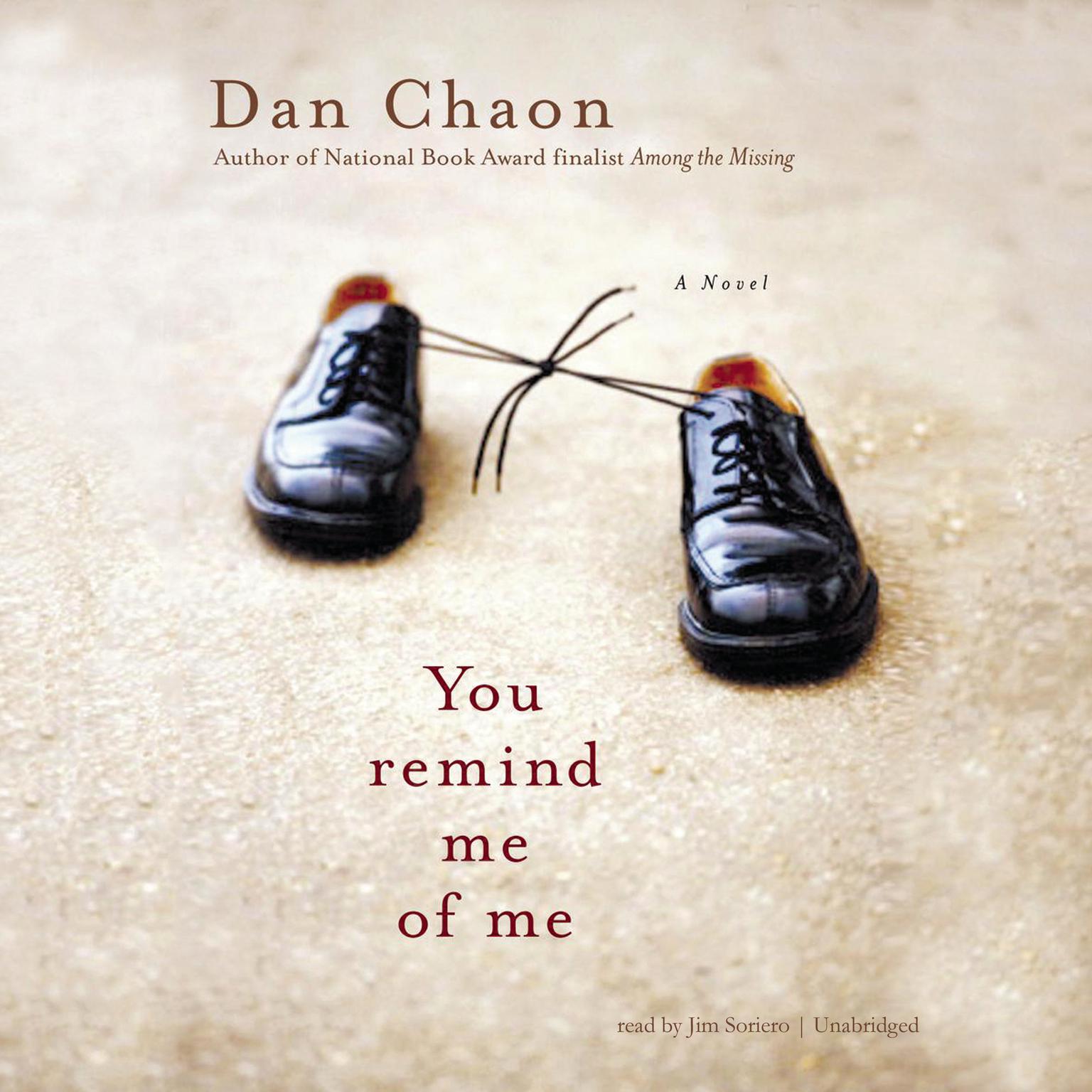 You Remind Me of Me Audiobook, by Dan Chaon