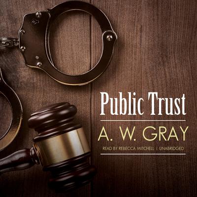 Public Trust Audiobook, by A. W. Gray