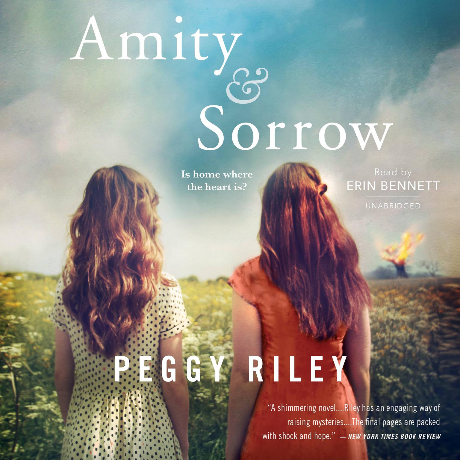 Amity & Sorrow: A Novel Audiobook, by Peggy Riley