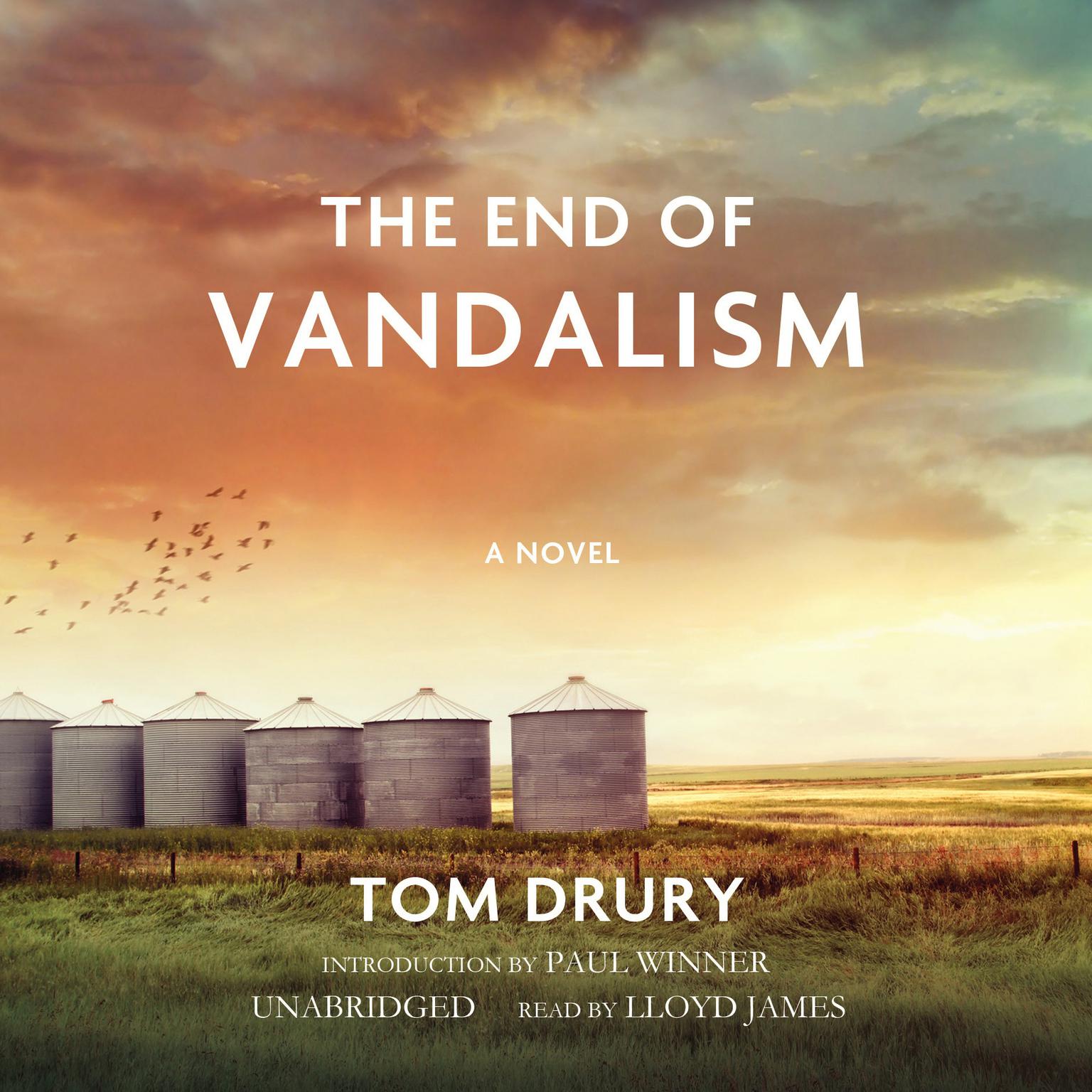 The End of Vandalism Audiobook, by Tom Drury