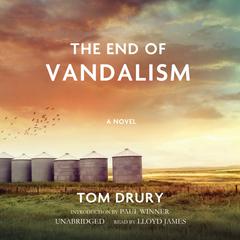 The End of Vandalism Audiobook, by Tom Drury