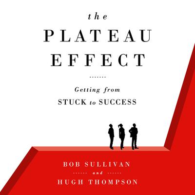 The Plateau Effect: Getting From Stuck to Success Audiobook, by Bob Sullivan