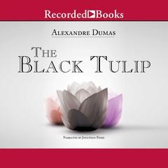 The Black Tulip Audiobook, by Alexandre Dumas