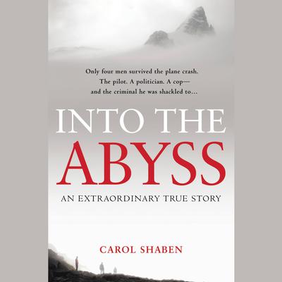 Into the Abyss: An Extraordinary True Story Audiobook, by Carol Shaben