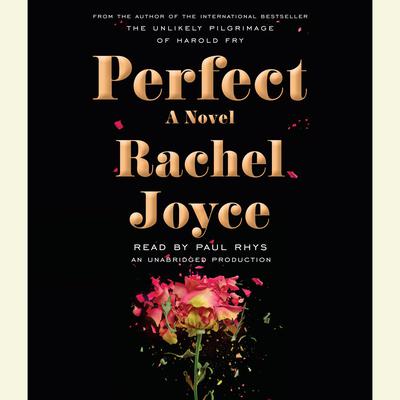 Perfect: A Novel Audiobook, by Rachel Joyce