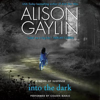 Into the Dark: A Novel of Suspense Audiobook, by Alison Gaylin