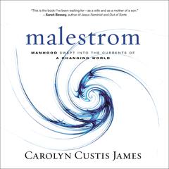 Malestrom: Manhood Swept into the Currents of a Changing World Audiobook, by Carolyn Custis James