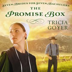 The Promise Box Audiobook, by Tricia Goyer