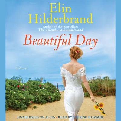 Beautiful Day: A Novel Audiobook, by 