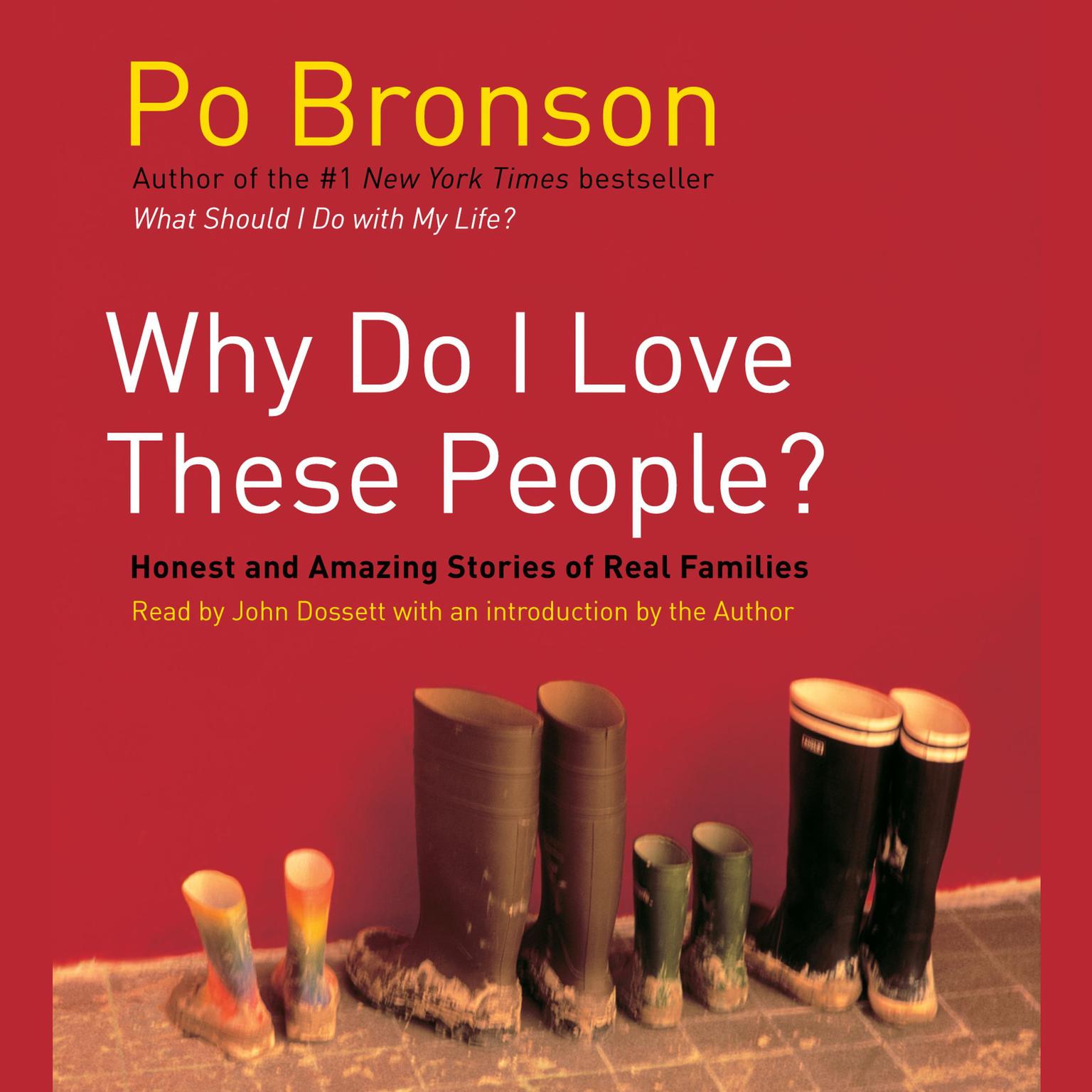 Why Do I Love These People? (Abridged): Miracalous Journeys of Twenty-first Century Families Audiobook, by Po Bronson