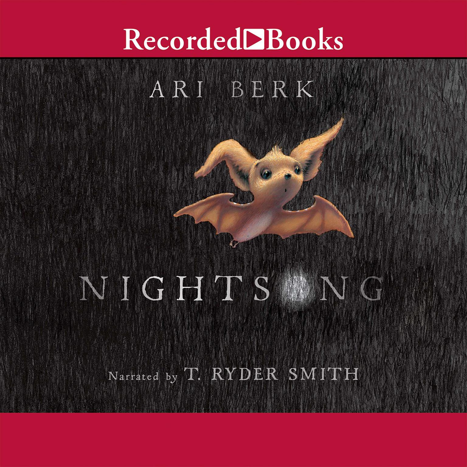 Nightsong Audiobook, by Ari Berk