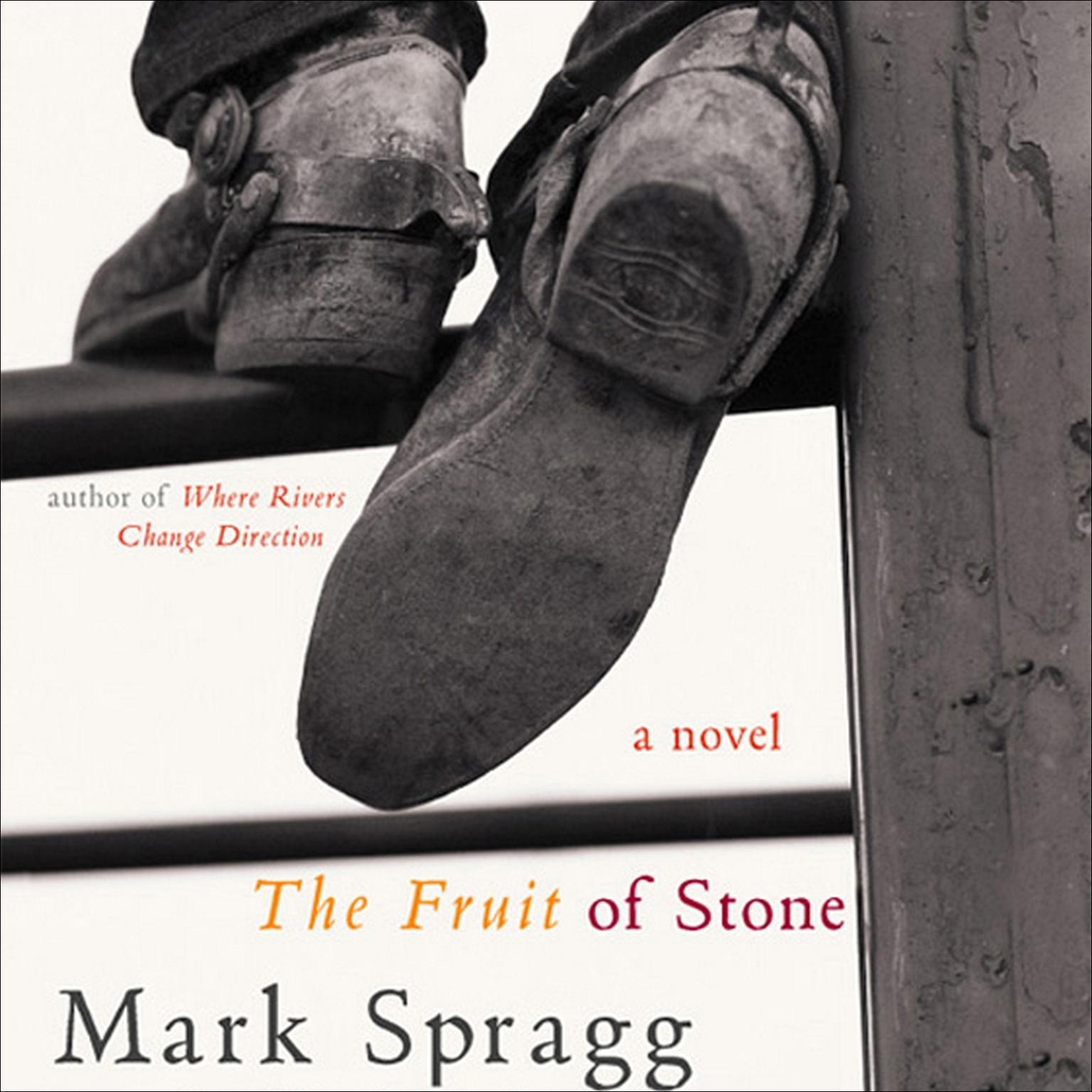 The Fruit of Stone Audiobook, by Mark Spragg