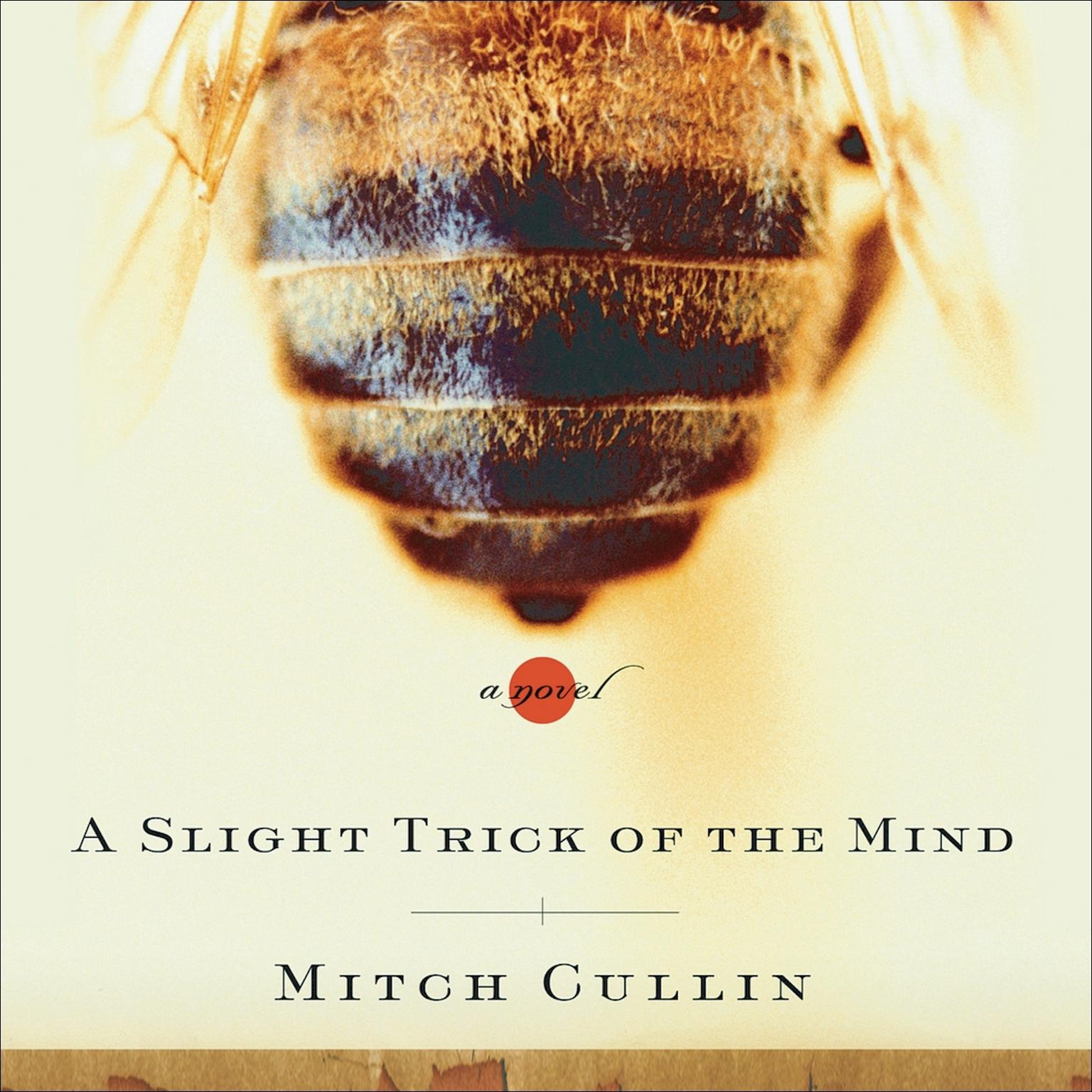 A Slight Trick of the Mind Audiobook, by Mitch Cullin