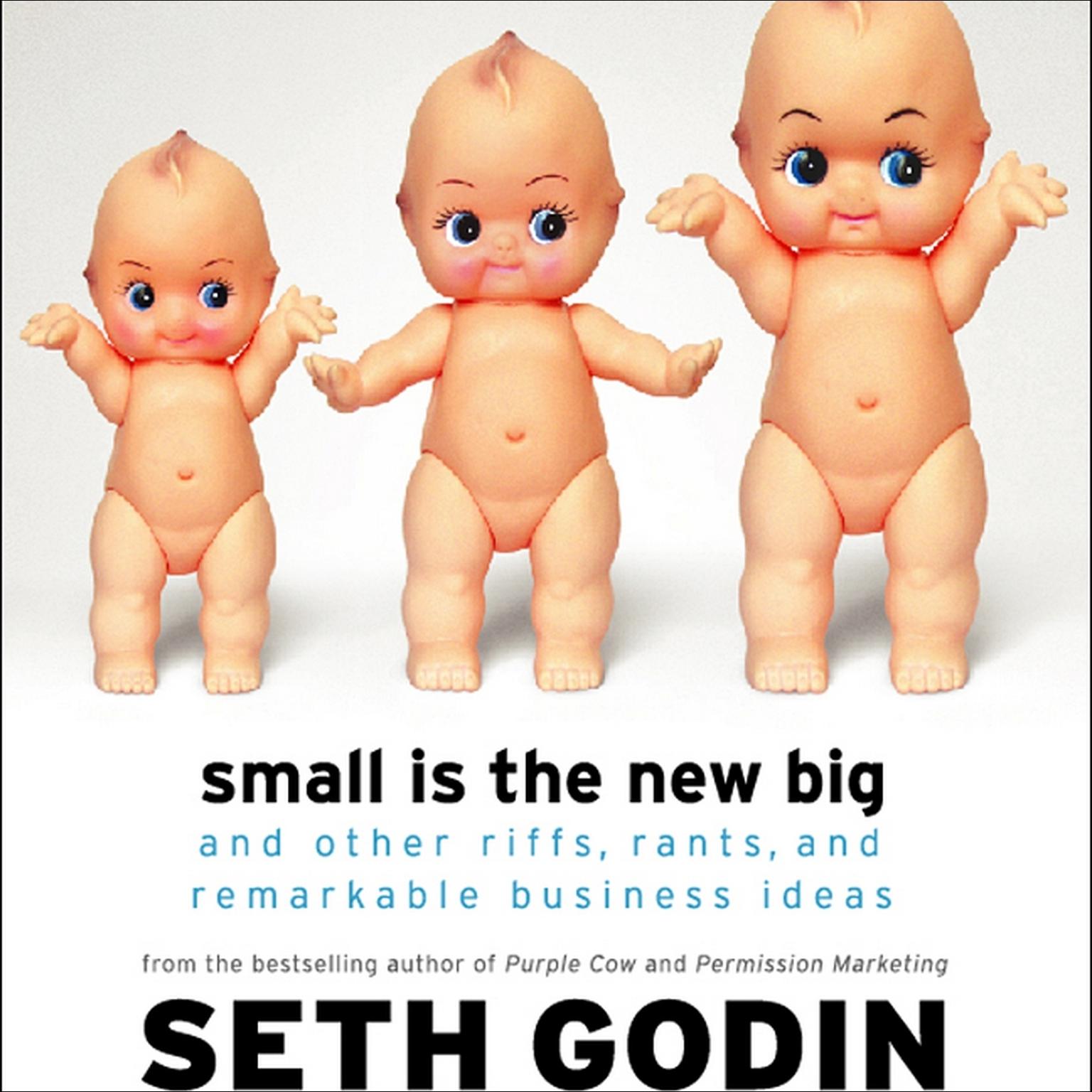 Small Is the New Big (Abridged): And Other Riffs, Rants, and Remarkable Business Ideas Audiobook, by Seth Godin