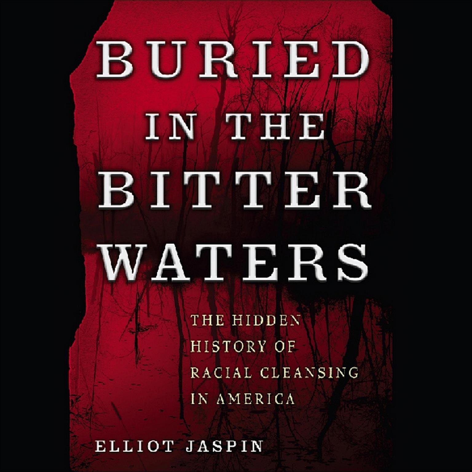 Buried in the Bitter Waters: The Hidden History of Racial Cleansing in America Audiobook, by Elliot Jaspin