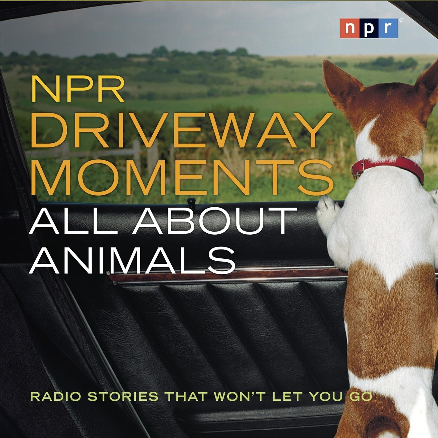 NPR Driveway Moments All About Animals: Radio Stories That Wont Let You Go Audiobook, by NPR