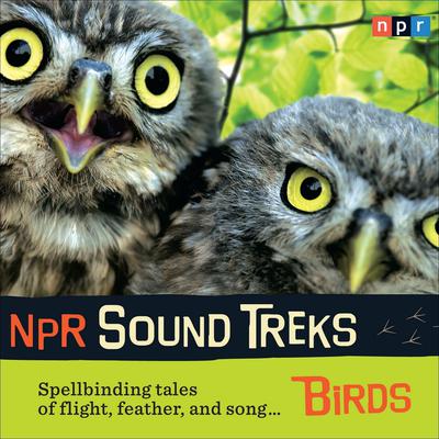 NPR Sound Treks: Birds: Spellbinding Tales of Flight, Feather, and Song Audiobook, by NPR