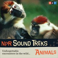 NPR Sound Treks: Animals: Unforgettable Encounters in the Wild Audiobook, by NPR